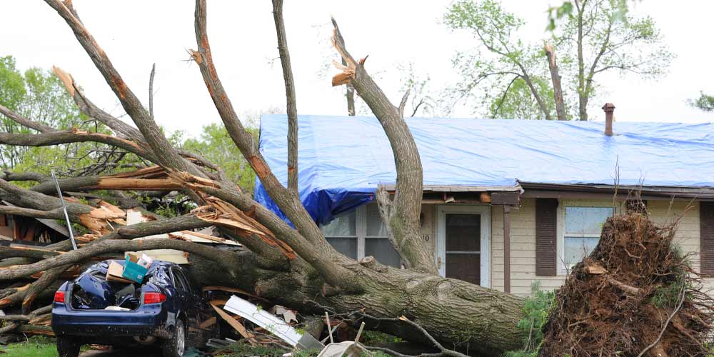 Modern Roof Storm Damage Repair Expert